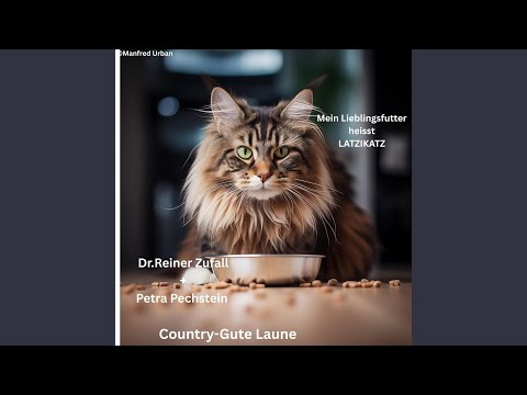 Youtube: Latzikatz