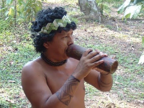 Youtube: Terra Preta - Das Schwarze Gold des Amazonas