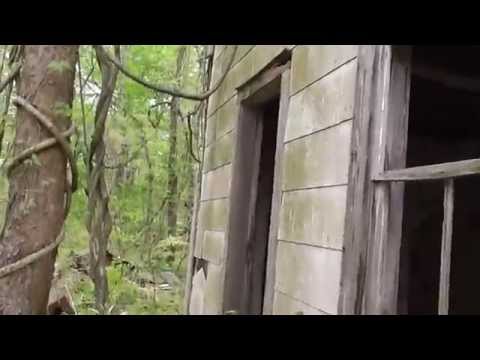 Youtube: My free abandoned house part 2