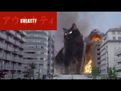 Youtube: It's Catzilla!!!