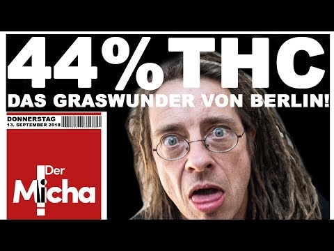 Youtube: Das STÄRKSTE GRAS DER WELT