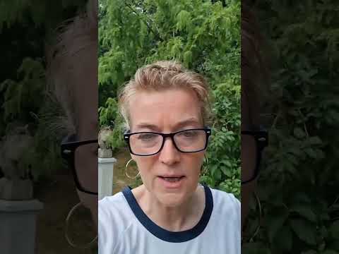 Youtube: #Timmy #Hope #Tierschutz #zweifel #Tierwohl