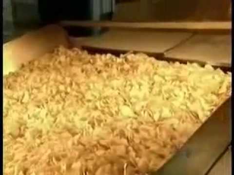 Youtube: Production of Potato Chips