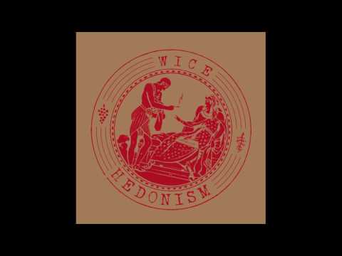 Youtube: Wice - When Legs Are Broken, Things Have To Be Done [STEIN01]