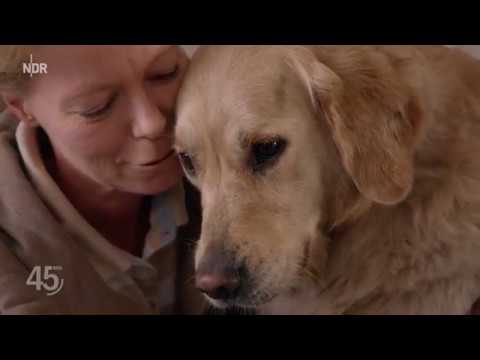 Youtube: Haustier Hund: Wahnsinn oder Liebe?  (45 Min - NDR-Reportage)