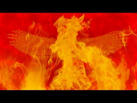 Youtube: The Phoenix - Fall Out Boy - (fan lyric video)