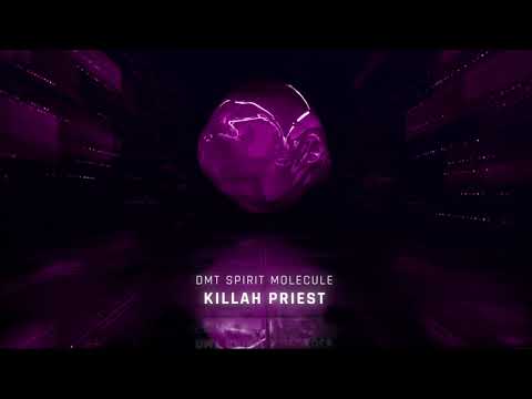 Youtube: Killah Priest - DMT Spirit Molecule
