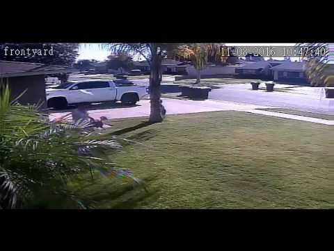 Youtube: Anaheim woman uses body to shield  2-year-old son in dog attack