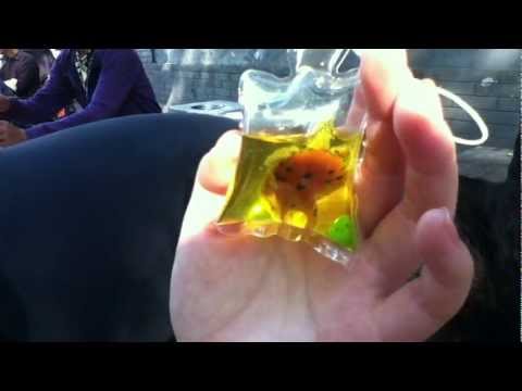 Youtube: Live turtles used as keychains in China (#2)