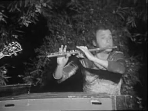 Youtube: Focus - Hocus Pocus ("Live", miming in France, 1971)