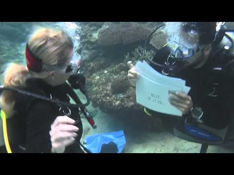 Youtube: Underwater Proposal