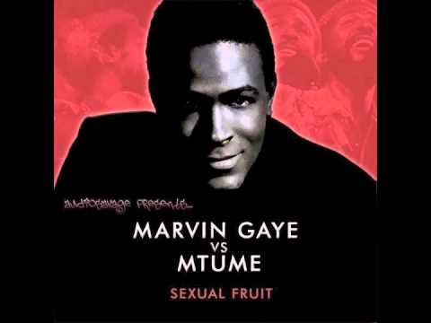 Youtube: Marvin Gaye vs Mtume - Sexual Fruit (AudioSavage Mashup)