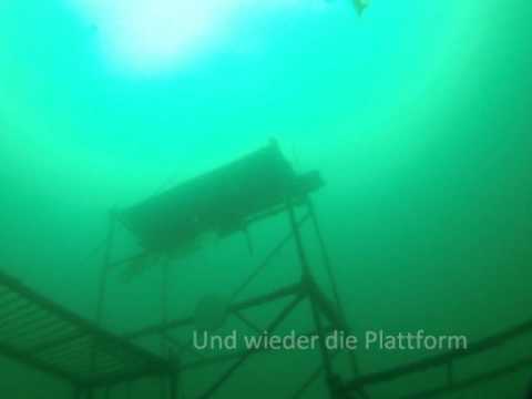 Youtube: Tauchen und schnorcheln im Hasenbruch   mit ActionCam