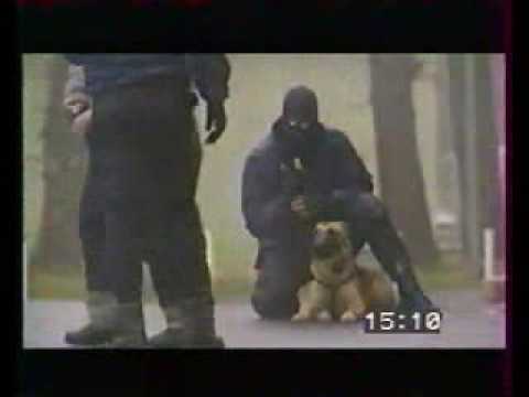 Youtube: Tactical K-9 Police dogs in action