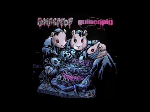 Youtube: Rompeprop / Guineapig - split 12" FULL ALBUM (2017 - Goregrind)