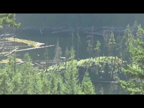 Youtube: Sasquatch spotted in the remote mountains of Mission BC!