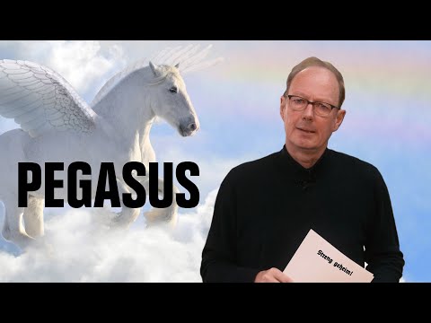 Youtube: Mehr Spaß mit PEGASUS