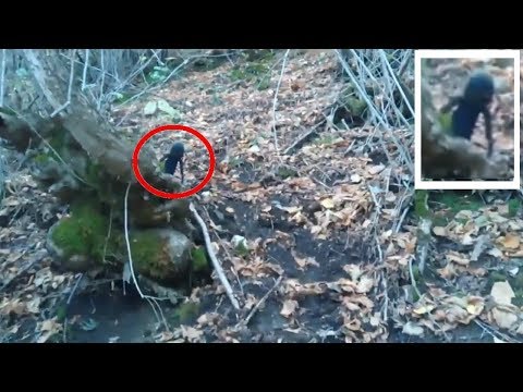 Youtube: ЧТО ЭТО ИНОПЛАНЕТЯНИН СТРАННОЕ СУЩЕСТВО ИЛИ ГНОМ удачно снято на камеру в лесу России. пришелец