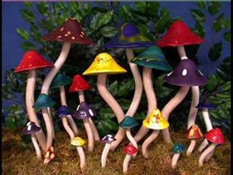 Youtube: Can - Mushroom