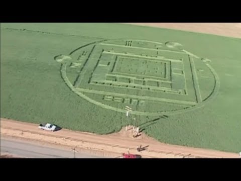 Youtube: Crop circles in California:  Giant circles appear in Salinas Valley, California, USA