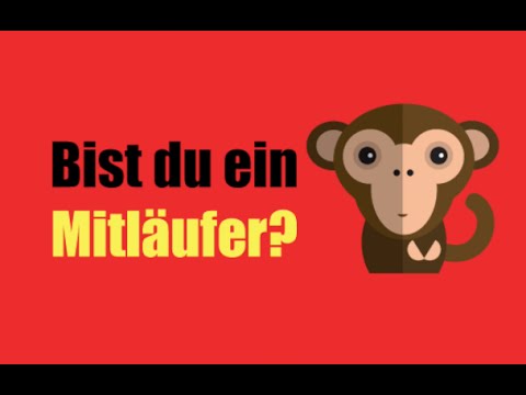 Youtube: Bist du ein Mitläufer? Das Skinner Experiment!