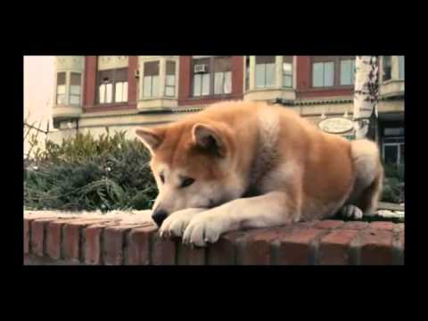 Youtube: Hachiko A Dog's Story Music Video From Movie