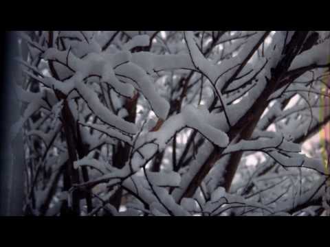 Youtube: Secret Garden - Searching for the past