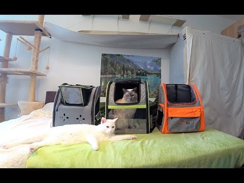 Youtube: Katzen Rucksack Test (3 Sorten) - Für Gassi/Spazieren, Wandern uvm.