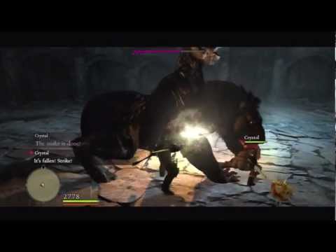 Youtube: Dragon's Dogma: Everfall Chambers - Boss Battles