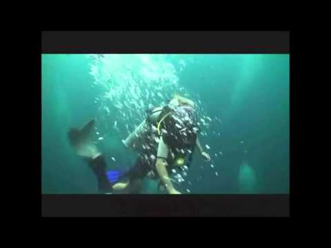 Youtube: Samantha Fox - Scuba Diving 2011 - The Second Dive