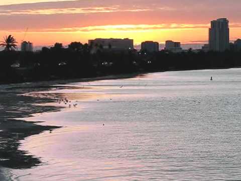 Youtube: Cat Stevens - Morning Has Broken