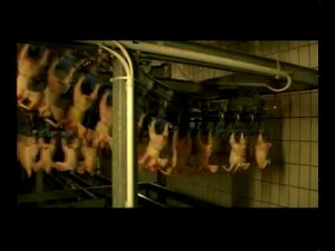 Youtube: We Feed the World Highlights
