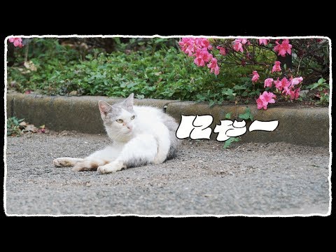 Youtube: U-zhaan×環ROY×鎮座DOPENESS / にゃー feat.矢野顕子