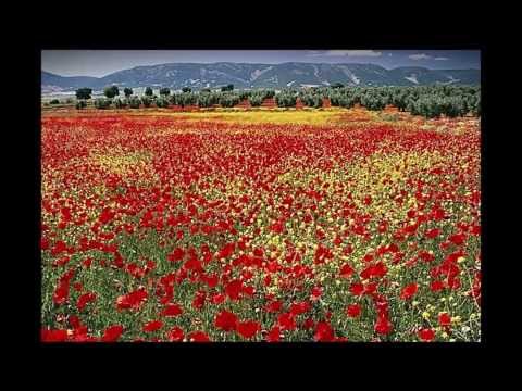 Youtube: Pierangelo Bertoli - Rosso colore