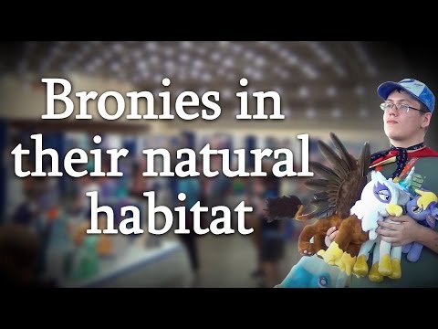 Youtube: Brony Nature Mockumentary
