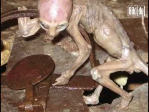 Youtube: 'Baby' Alien found by farmer in Mexico - DNA tests and scans baffles scientists