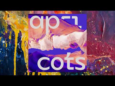 Youtube: Bicep — Apricots (Original Mix)