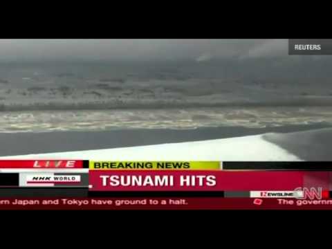Youtube: Strange creature spotted during Japan's tsunami