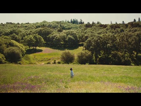 Youtube: Paul Alone - Qué bonito es vivir (Video Oficial)