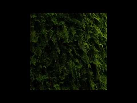 Youtube: Hydrangea - Ananké [SS0]