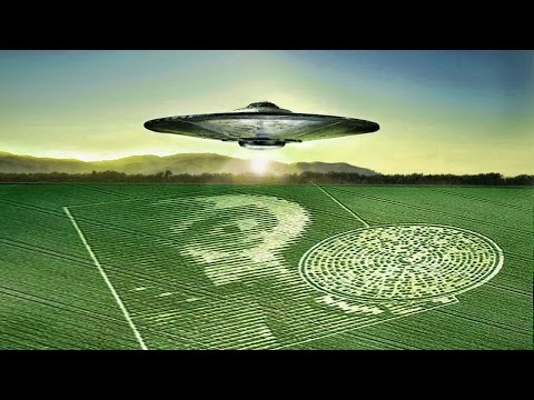 Youtube: Scientist Claims Crop Circles Are Messages From ALIENS and TIME TRAVELERS