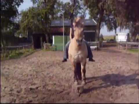 Youtube: Horse Inspiration - Promotion Natural Horsemanship