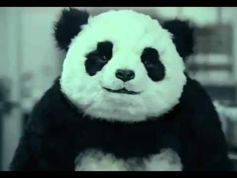 Youtube: Panda Cheese Commercials (All 5)