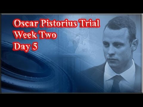 Youtube: Oscar Pistorius Trial: Friday 14 March 2014, Session 2