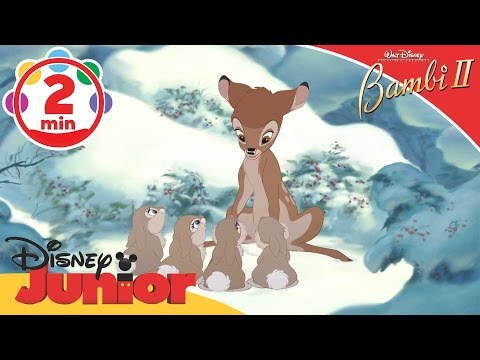 Youtube: Bambi II | Thumper's Little Sisters | @disneykids