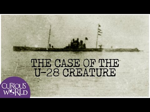 Youtube: The Case of the U-28 Creature