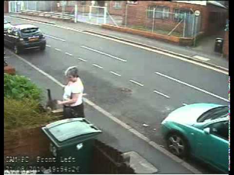 Youtube: Women throws cat in wheelie bin