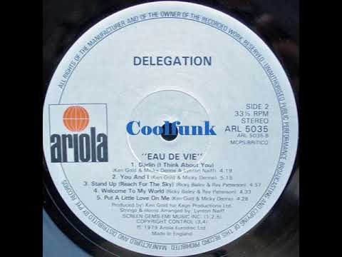 Youtube: Delegation - Put A Little Love On Me (Disco-Funk 1979)