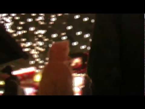 Youtube: Peter Heppner - Dream of Christmas (official video)