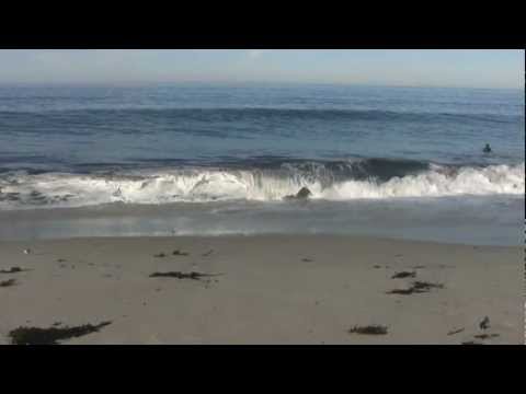 Youtube: Relaxing 3 Hour Video of California Ocean Waves